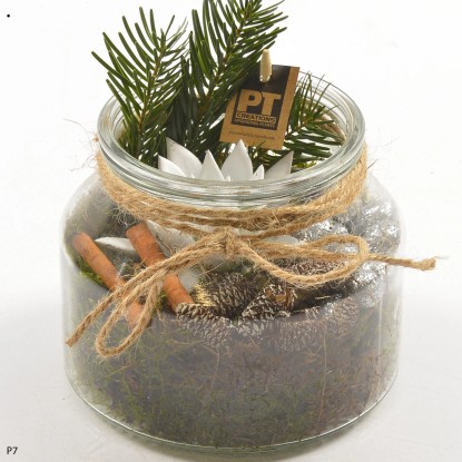 Composizione piante assortite bianche in barattolo in vetro