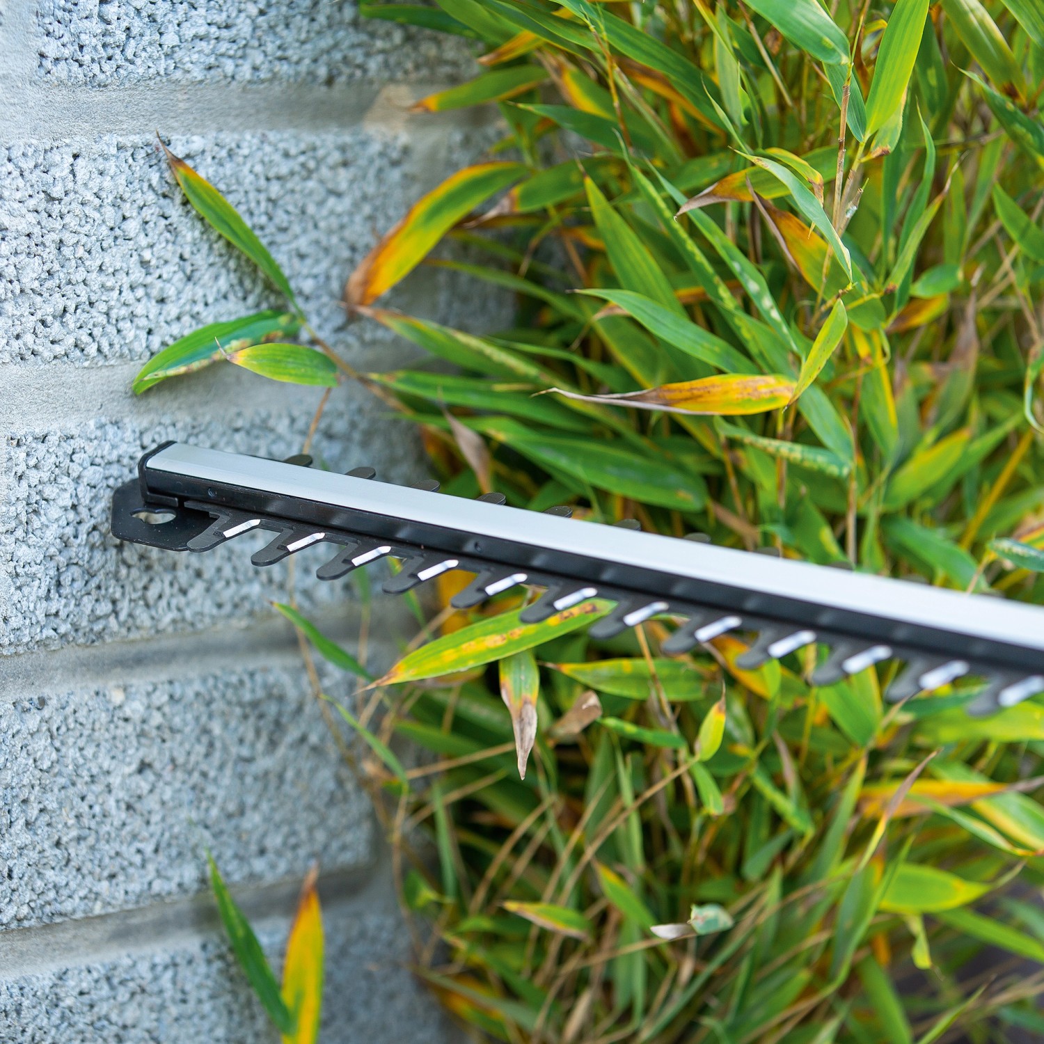 LUX tagliasiepi a batteria A-HS-20/52 in azione: taglio siepe di bambù. Preciso e senza fili.