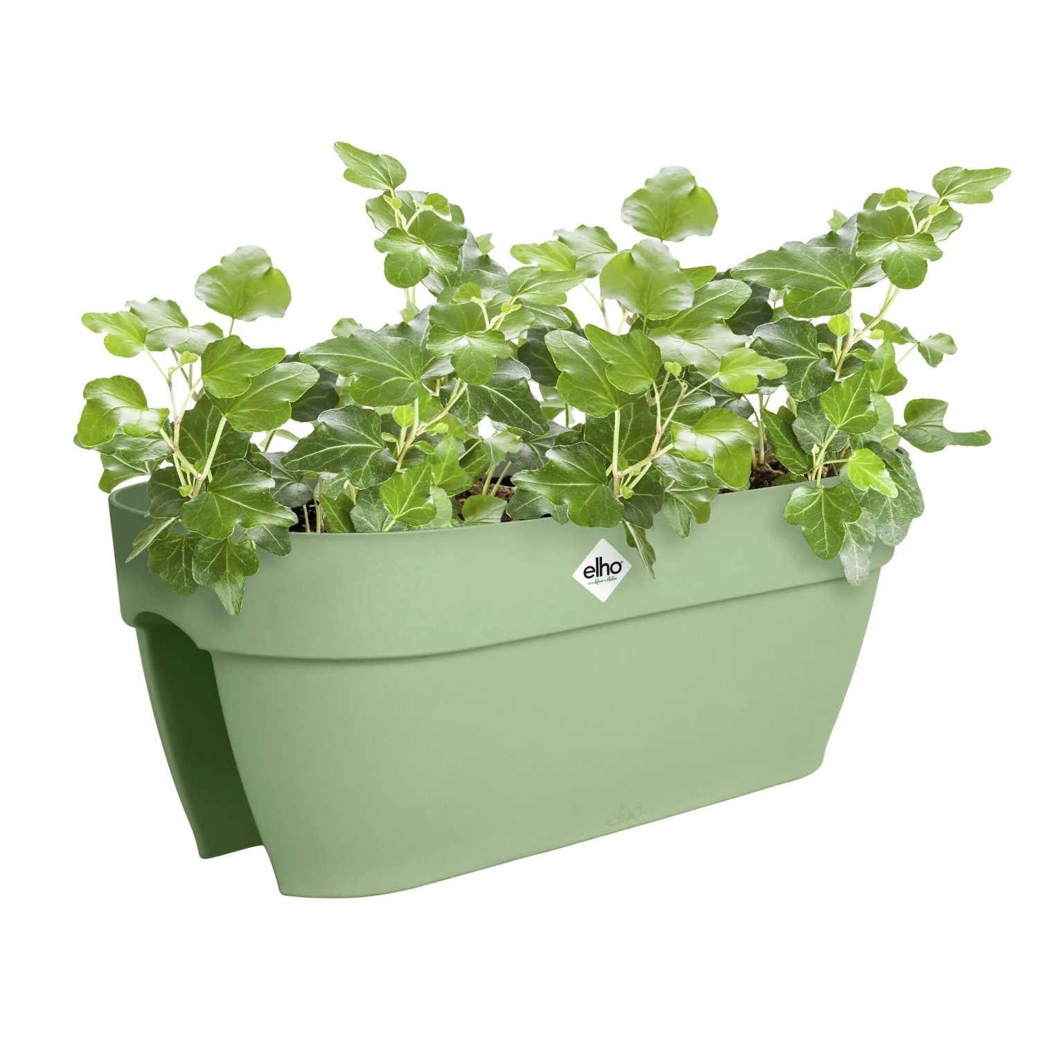 Fioriera Elho Flower Bridge Vibia Campana, 26x59x22 cm, verde, con piante.