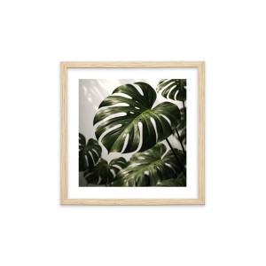 Stampa incorniciata 25x25 cm set piante - monstera