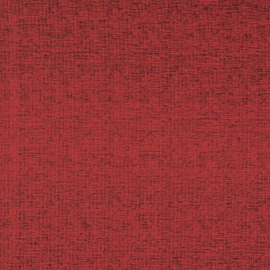 Dettaglio di un tappeto/zerbino t.b.t. rosso con texture fine.