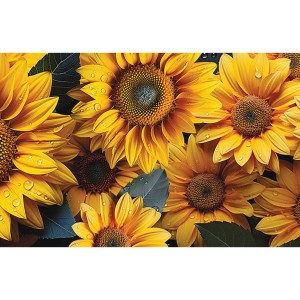 Tappeto cucina Zerbini con girasoli gialli e gocce d'acqua.
