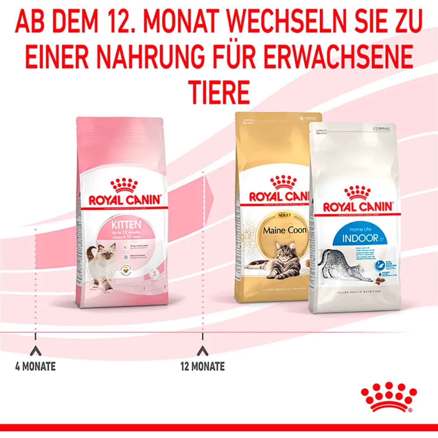 Royal Canin Kitten cibo secco, diverse varietà per gatti, passare dopo 12 mesi.