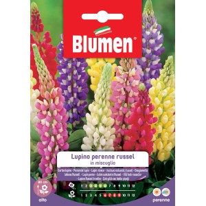 Miscela di semi di fiori per lupini da giardino in vari colori.