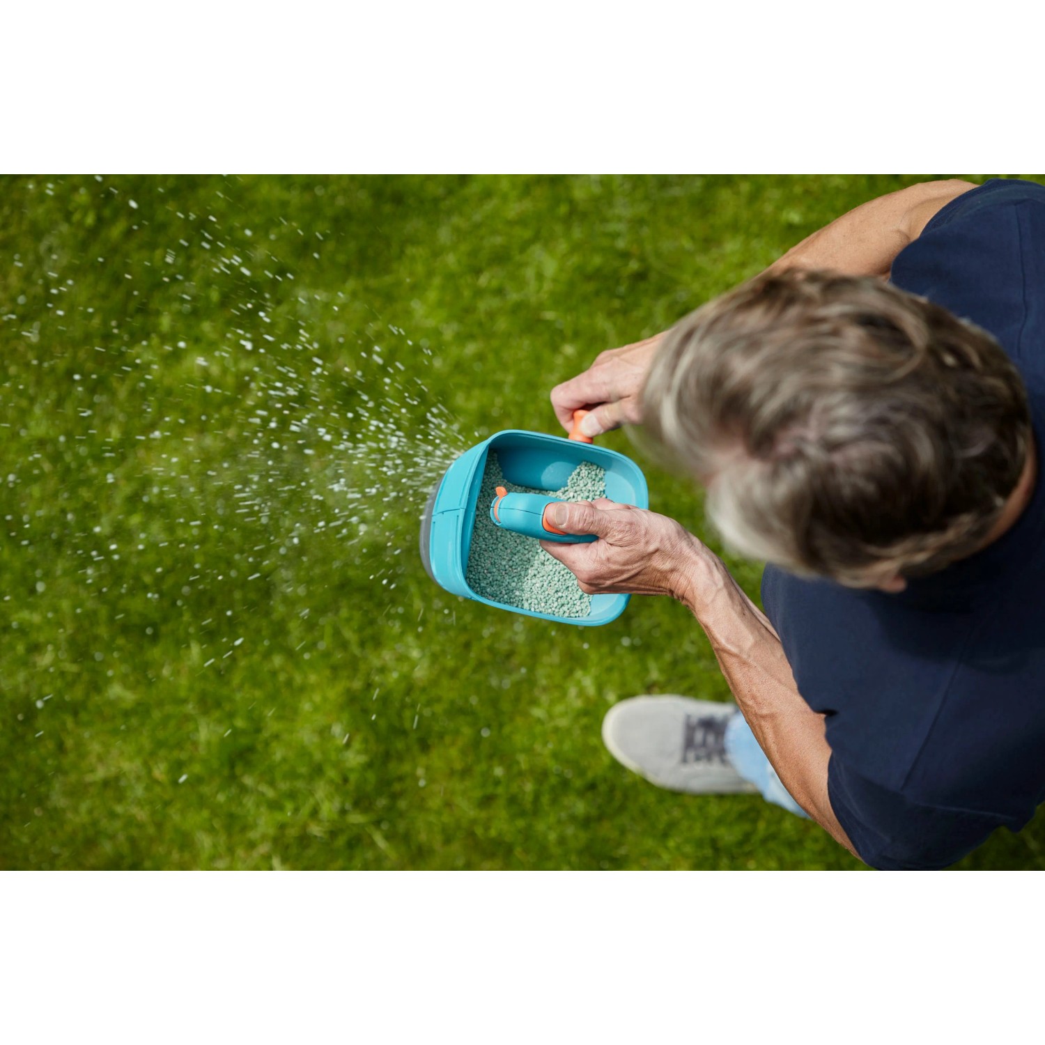 Spargitore manuale Gardena M che sparge fertilizzante sul prato, spargitore.