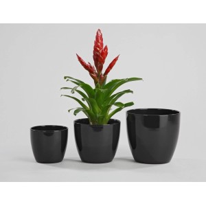 Scheurich vaso per piante 920, Ø 14 cm, nero in ceramica. Design classico per interni.