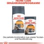 Royal Canin Hair & Skin Care cibo per gatti, umido e secco per un pelo sano.