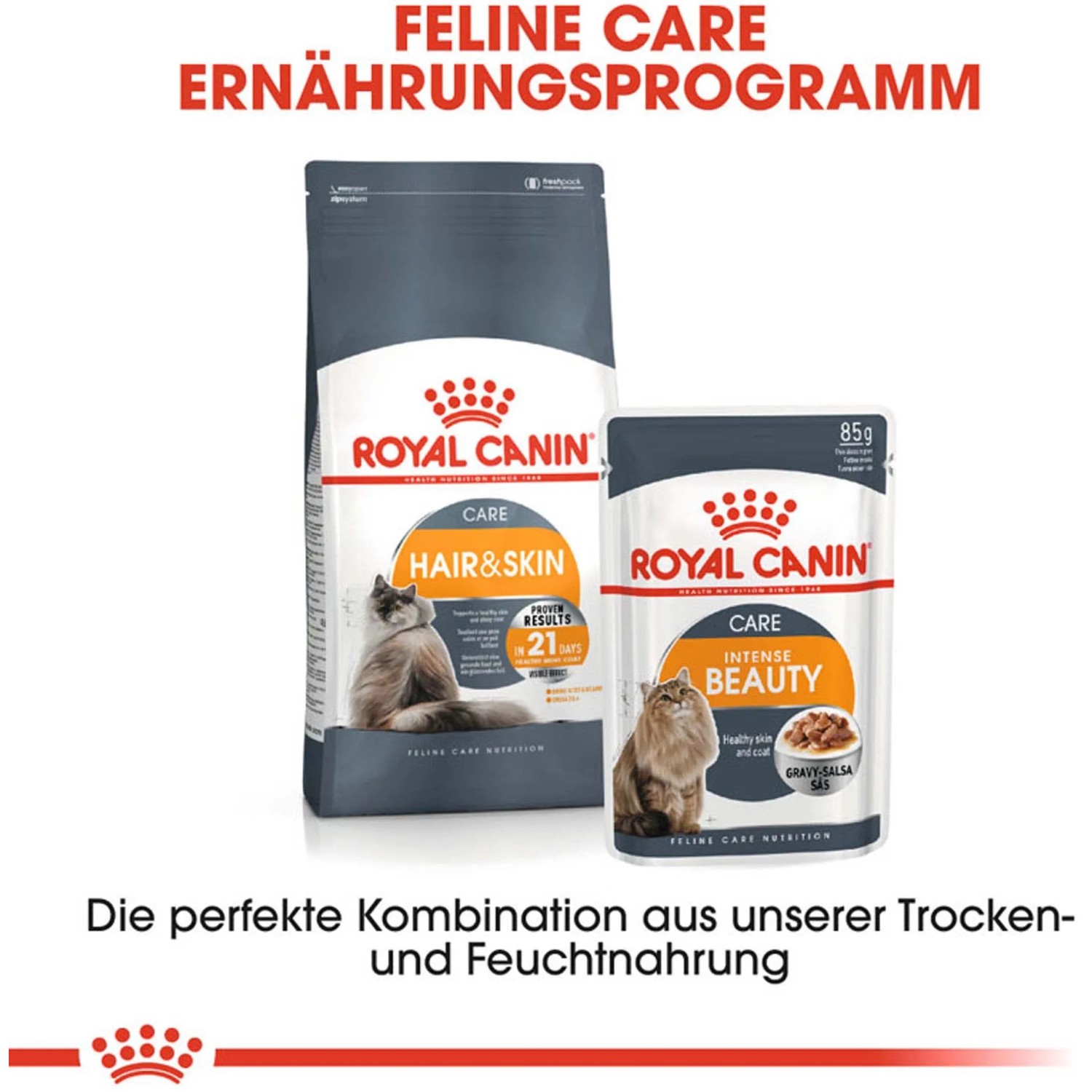 Royal Canin Hair & Skin Care cibo per gatti, umido e secco per un pelo sano.