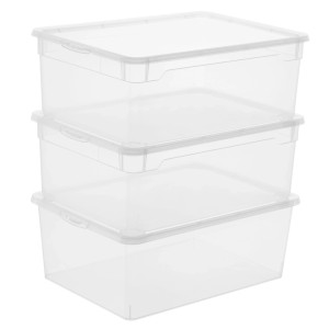 Set contenitore Rotho Clear Men Shoe 10 l Trasparente 3 pz