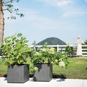 Due fioriere Deroma Cubo Millennium color antracite con piante in giardino.