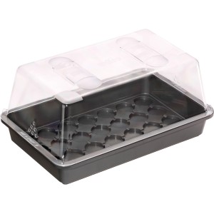 Coperchio serra trasparente per vaschetta universale 38x24cm per la propagazione delle piante.