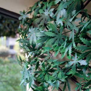 Foglie verdi artificiali di una pianta rampicante come frangivista.