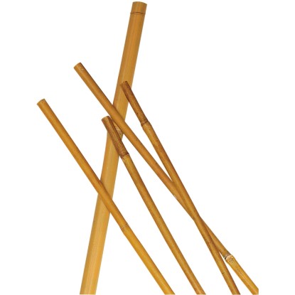 Cannetta bamboo Ø 16 mm-18 mm, altezza 240 cm