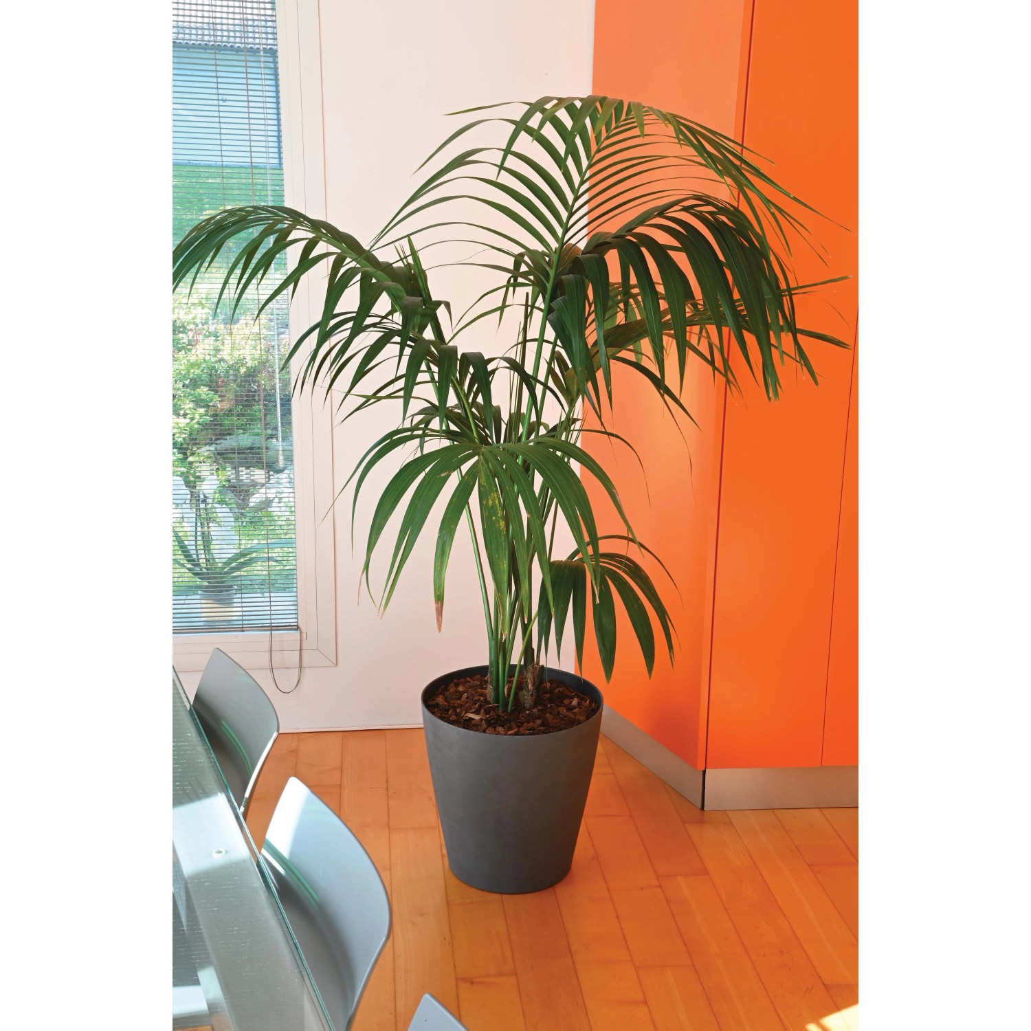 Vaso In Ceramica Smerigliata OTDCGI, Forma Semplice, 15,2 Cm, Per Fiori E Piante, Decorazione Bohémien Per Casa E Ufficio
