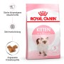 Royal Canin Kitten cibo secco, confezione da 400g di alimento per gattini fino a 12 mesi.