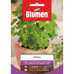 Confezione di semi di melissa: Semi di erbe aromatiche per il giardino.