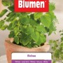 Confezione di semi di melissa: Semi di erbe aromatiche per il giardino.