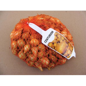 Cipolle "Centurion" in rete, ideali per piantare in giardino.