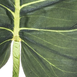 Dettaglio di una foglia verde della pianta artificiale t.b.t. con venature visibili.