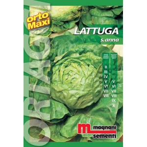 Confezione di semi per lattuga 'Lattuga S. Anna', Semi da orto.