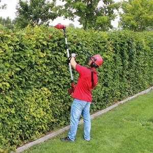 Einhell Power X-Change GE-HC 18 Li T Solo multiutensile a batteria taglia siepe.