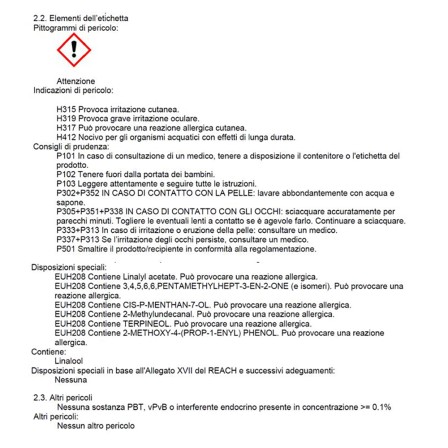 Profumatore per auto liquido - 5 ml