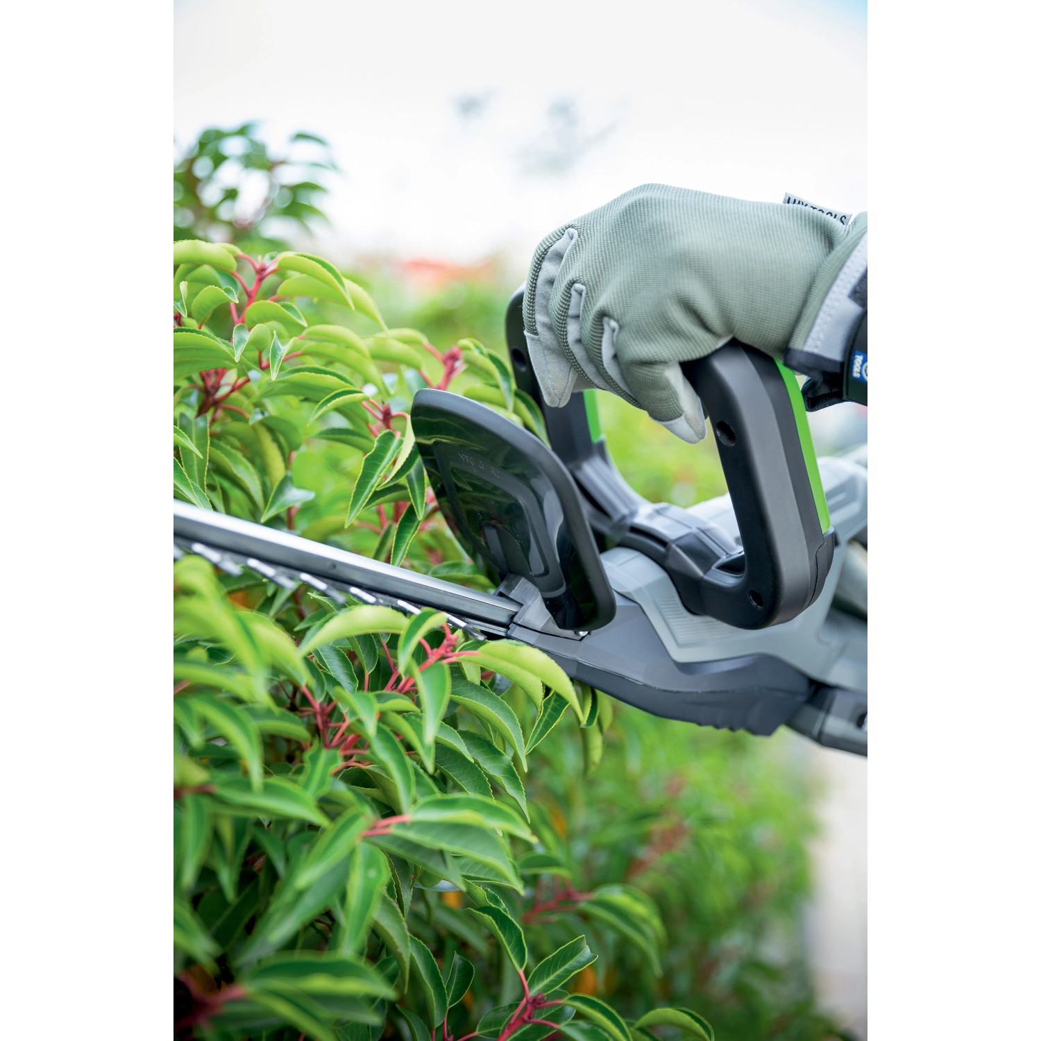 Tagliasiepi a batteria LUX A-HS-20/52 in uso per tagliare una siepe.