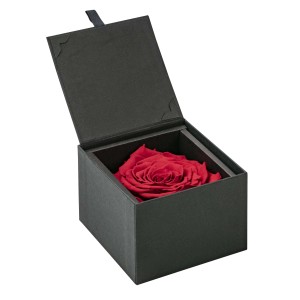Rosa di Natale t.b.t. in confezione regalo nera. Rosa elegante e conservata.