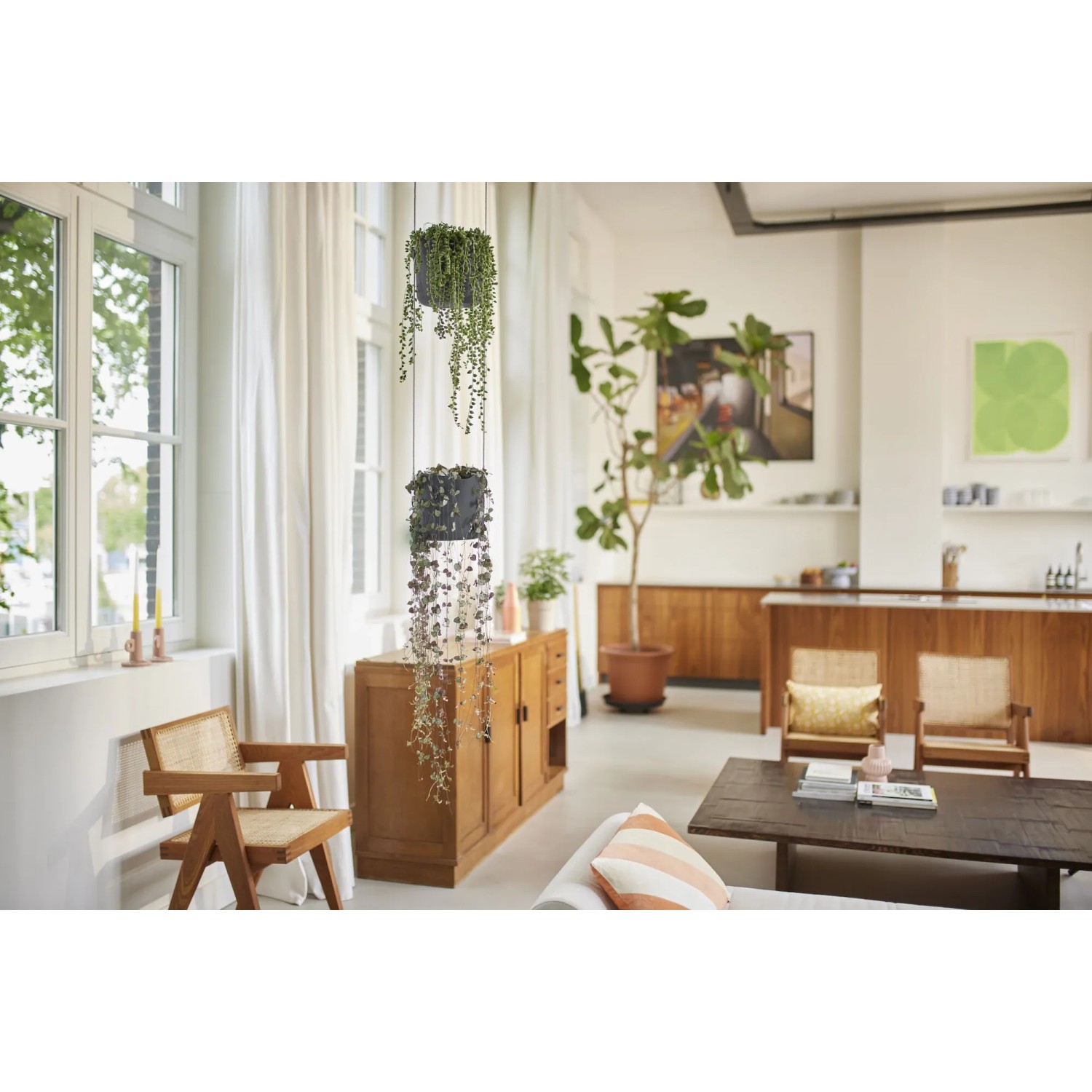 Vaso per fiori antracite Elho B.For Swing (Ø 18 cm) come fioriera sospesa in soggiorno.