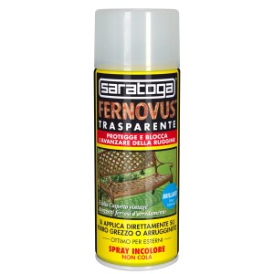 t.b.t. Vernice spray trasparente per metallo, protegge dalla ruggine.