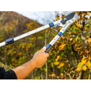 LUX Cesoia a cricchetto con incudine Classic in uso: Cesoie telescopiche da giardino tagliano rami.