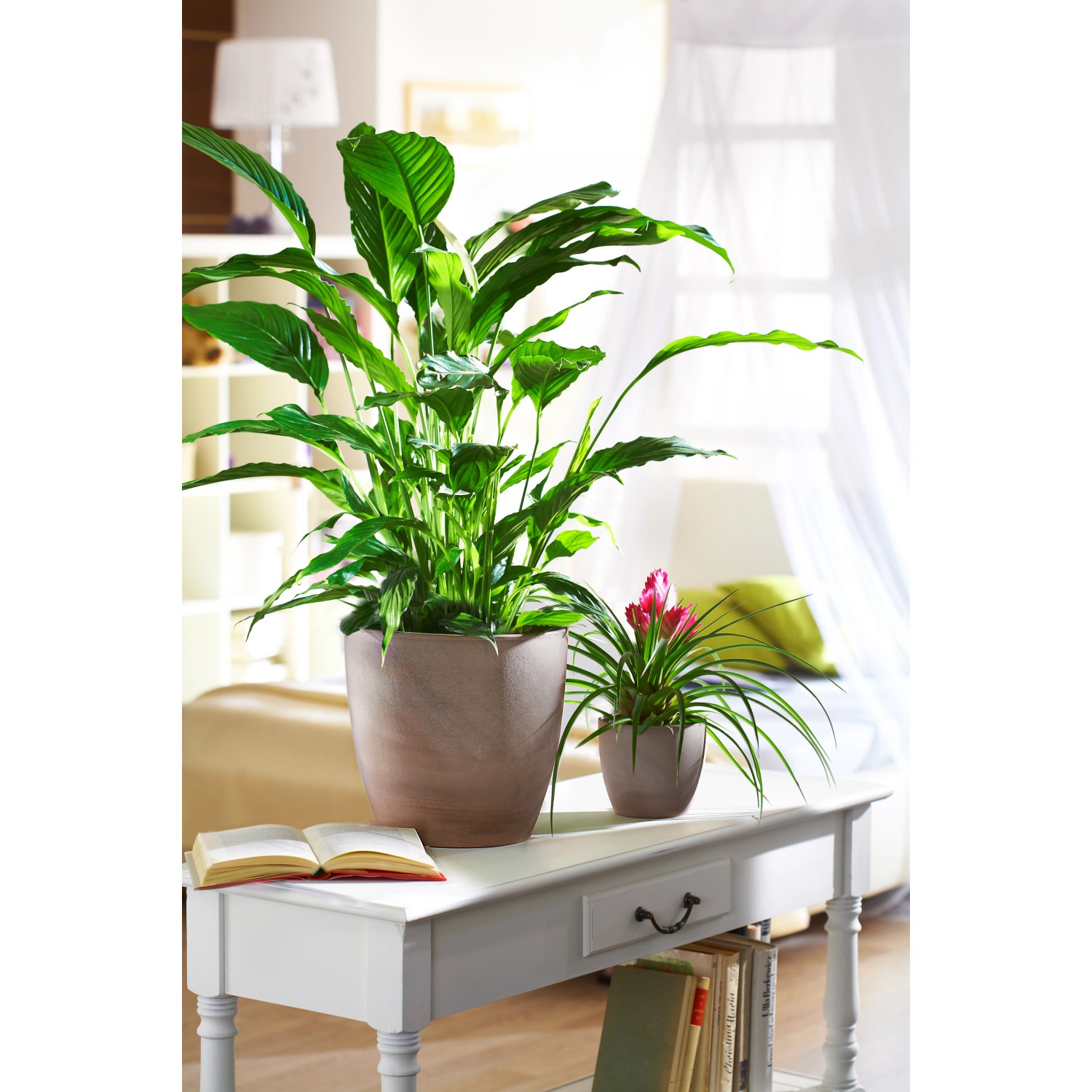 Vaso per piante Scheurich 920 Earth, Ø 16 cm, con piante da interno su tavolo in soggiorno.