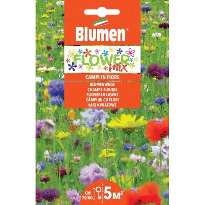 Semi mix di fiori campi in fiore