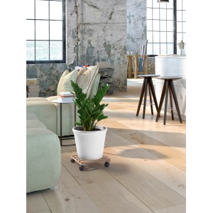 Rollante per piante quadrata in faggio naturale, 30x30 cm, con pianta in vaso bianco.