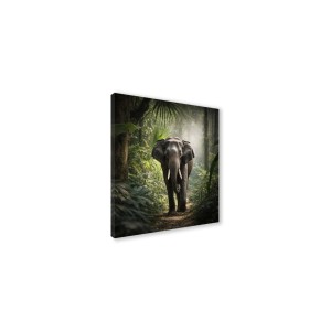 Canvas 30x30 cm set animali - elefante