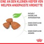 Crocchette Royal Canin per cuccioli di razze molto piccole, adattate alla piccola mascella.