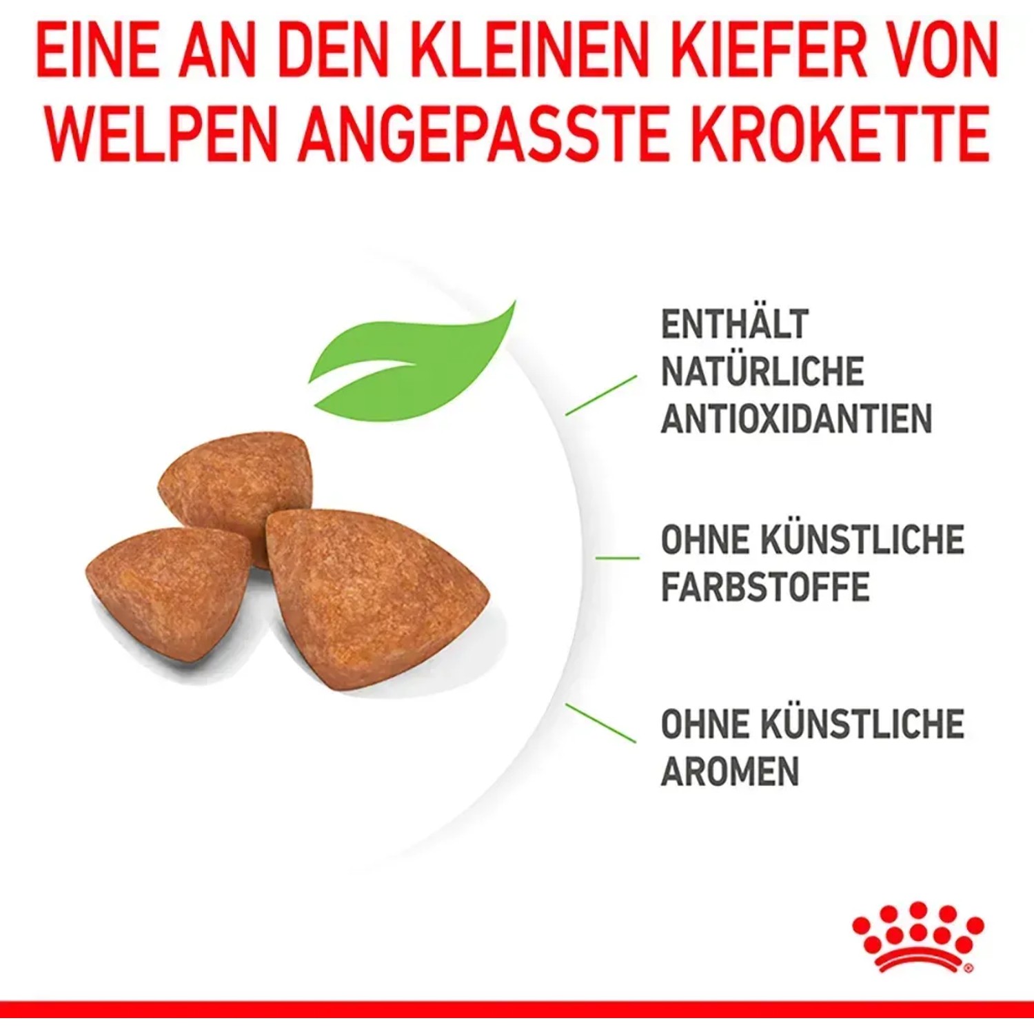 Crocchette Royal Canin per cuccioli di razze molto piccole, adattate alla piccola mascella.