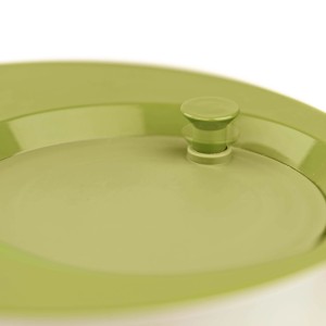 Contenitore t.b.t. verde con coperchio, primo piano.