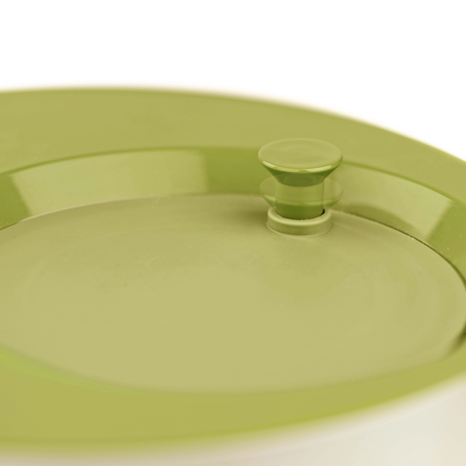 Contenitore t.b.t. verde con coperchio, primo piano.