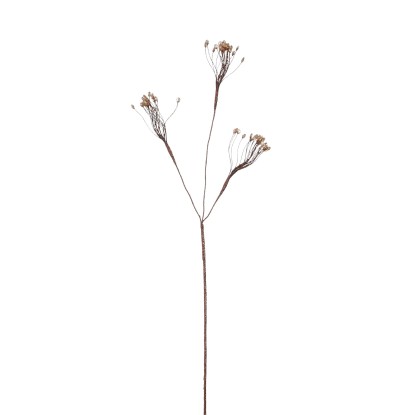 Ramo aneto marrone 75 cm