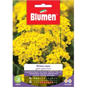 Confezione di semi di alisso nano giallo.