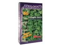 Semi Per Prato Di Trifoglio Nano Bottos - Confezione Da 0,5 Kg