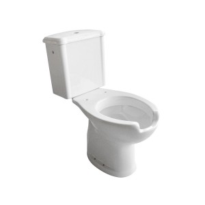 WC monoblocco bianco con coperchio aperto, vista dall'alto.
