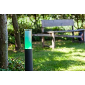 Lutec Dropa, lampada da vialetto a LED, antracite, con cilindro in vetro illuminato di verde in giardino.