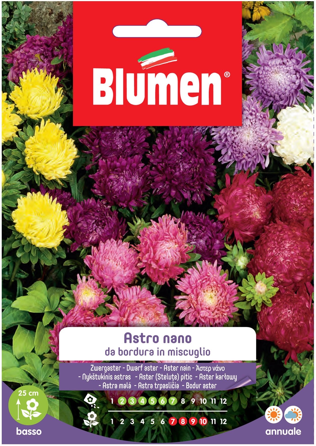 Blumen Astro nano da bordura in miscuglio OBI