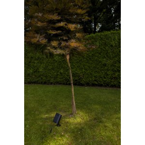Faretto da giardino nero t.b.t. che illumina un albero. Illuminazione esterna per un'atmosfera suggestiva.