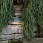 Segnapasso t.b.t. su muro in pietra con piante.