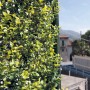 Siepe artificiale t.b.t. verde per privacy e decorazione in giardino o balcone.