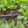 Raccordo a T per sistema di irrigazione in aiuola con piante di lattuga.