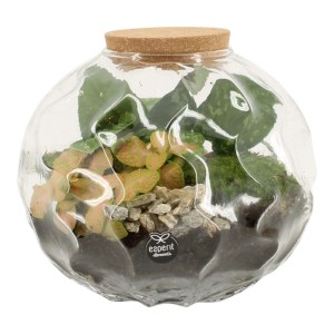 Arr Dinosau Vaso Ø 26 cm